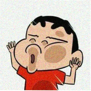 读者迟舟头像